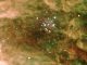 Der Sternhaufen Hodge 301 im Tarantelnebel in der Großen Magellanschen Wolke. (ESO)