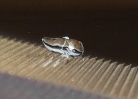 Je schärfer die Zähne auf einer geriffelten, heißen Oberfläche, desto steilere Gefälle konnten die Tröpfchen erklimmen. (University of Bath) Je schärfer die Zähne auf einer geriffelten, heißen Oberfläche, desto steilere Gefälle konnten die Tröpfchen erklimmen. (University of Bath)