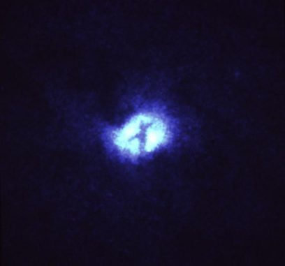 Staubstrukturen im Zentrum der Whirlpool-Galaxie, aufgenommen vom Weltraumteleskop Hubble. (H. Ford (JHU / STScI), the Faint Object Spectrograph IDT, and NASA) Staubstrukturen im Zentrum der Whirlpool-Galaxie, aufgenommen vom Weltraumteleskop Hubble. (H. Ford (JHU / STScI), the Faint Object Spectrograph IDT, and NASA)