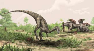 Künstlerische Darstellung von Nyasasaurus parringtoni, der entweder der früheste Dinosaurier oder der engste Verwandte der Dinosaurier ist. Hier ist er neben pflanzenfressenden Reptilien der Gattung Stenaulorhynchus abgebildet. ((c) Natural History Museum, London / Mark Witton)