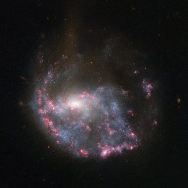 Die verzerrte Spiralgalaxie NGC 922, aufgenommen vom Weltraumteleskop Hubble. (NASA / ESA)