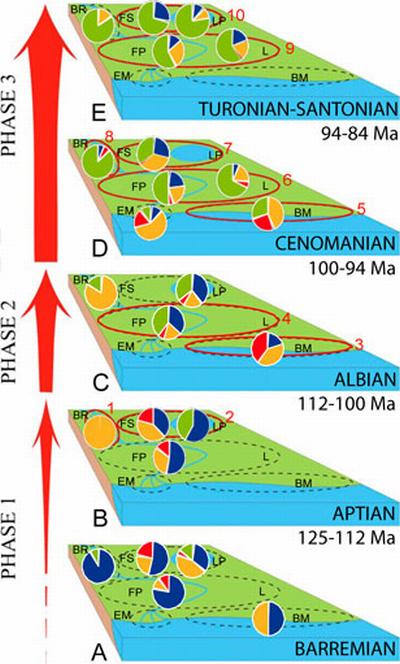 Diese Darstellung zeigt die Verschiebung von Farnen (blau), Koniferen (rot) und anderen Gymnospermen (orange) hin zu Angiospermen (grün) in verschiedenen Gewässerumgebungen vor 130 bis 84 Millionen Jahren. (Courtesy of Indiana University)