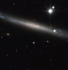 Die "Nadelgalaxie" IC 2233, aufgenommen vom Weltraumteleskop Hubble. (ESA / Hubble & NASA Acknowledgement: Luca Limatola)