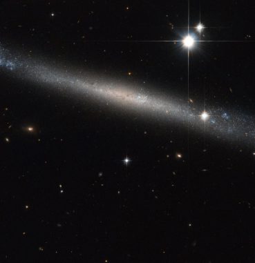 Die "Nadelgalaxie" IC 2233, aufgenommen vom Weltraumteleskop Hubble. (ESA / Hubble & NASA Acknowledgement: Luca Limatola) Die "Nadelgalaxie" IC 2233, aufgenommen vom Weltraumteleskop Hubble. (ESA / Hubble & NASA Acknowledgement: Luca Limatola)