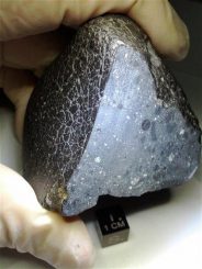 Der ungewöhnliche Marsmeteorit "Northwest Africa (NWA) 7034" ist der erste Meteorit, den Wissenschaftler mit der Kruste des Mars in Zusammenhang bringen. (Image courtesy Carl Agee, University of New Mexico)