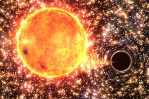 Künstlerische Darstellung eines Sterns, der bald von einem Schwarzen Loch verschlungen wird. (Swinburne University of Technology / Gabriel Perez Diaz) Künstlerische Darstellung eines Sterns, der bald von einem Schwarzen Loch verschlungen wird. (Swinburne University of Technology / Gabriel Perez Diaz)
