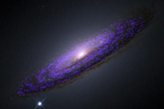 Die Galaxie NGC 4526. Die violetten Regionen zeigen das kalte, molekulare Gas, das mit der Staubscheibe übereinstimmt. (Image courtesy of University of Hertfordshire)