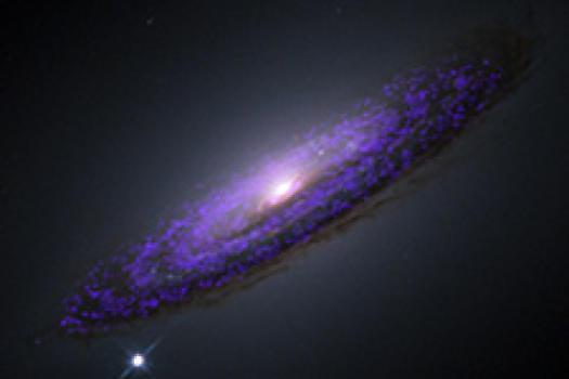 Die Galaxie NGC 4526. Die violetten Regionen zeigen das kalte, molekulare Gas, das mit der Staubscheibe übereinstimmt. (Image courtesy of University of Hertfordshire) Die Galaxie NGC 4526. Die violetten Regionen zeigen das kalte, molekulare Gas, das mit der Staubscheibe übereinstimmt. (Image courtesy of University of Hertfordshire)