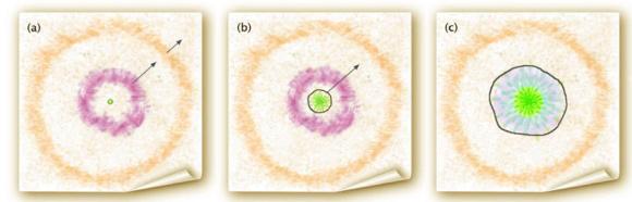 Schematische Darstellung eines Modells zur Beschreibung der Supernova SN 2010mc. Bild A zeigt die Supernova am Tag ihrer Explosion. Eine innere Hülle (violett) repräsentiert die Materie, die der Vorläuferstern etwa einen Monat vorher im Rahmen des vorletzten Ausbruchs ausgestoßen hat. Eine äußere Hülle (orange) besteht aus Materie, die schon vorher abgestoßen wurde. Bild B zeigt SN 2010mc am Tag 5. Die Schockwelle der Supernova (graue Linie) bewegt sich mit 10.000 km/s und ionisiert die innere und die äußere Hülle, wobei sie breite und schmale Wasserstoff-Emissionslinien erzeugt, die von Astronomen auf der Erde nachgewiesen werden können. Bild C zeigt das Objekt am Tag 20, als die Schockwelle die innere Hülle einschließt. Zu diesem Zeitpunkt registrierten die Astronomen nur eine schmale Wasserstoff-Emissionslinie. (Credit: E. O. Ofek, Weizmann Institute of Science)