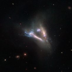 Das miteinander verschmelzende Galaxienpaar IC 2184, aufgenommen vom Weltraumteleskop Hubble. (ESA / Hubble & NASA)