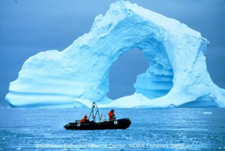 Ein Eisberg vor den Südlichen Shetlandinseln in der Antarktis. (Wayne Trivelpiece / Southwest Fisheries Science Center / NOAA Fisheries Service)