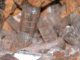 Apatit, eine Form von Calciumphosphat und Hauptbestandteil von Knochen. (Eindhoven University of Technology / Wouter Habraken)