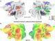 Abbildung A: Scan eines menschlichen Kortex. Die farbigen Gebiete stellen humanspezifische Hirnregionen dar. Abbildung B: Ein Bild aus einer vorherigen Arbeit, das veranschaulicht, wie der menschliche Kortex im Laufe der Evolution humanspezifische Hirnregionen entwickelt hat. Sie stimmen mit den von Prof. Vanduffel gefundenen Arealen überein. (KU Leuven)