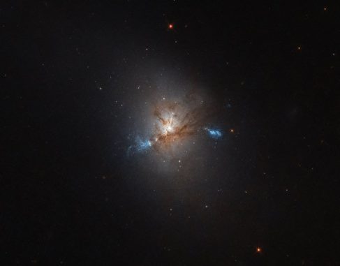 NGC 1222, aufgenommen vom Weltraumteleskop Hubble. (ESA / Hubble & NASA)