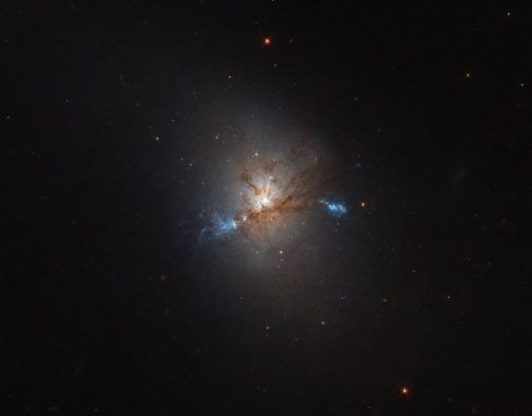 NGC 1222, aufgenommen vom Weltraumteleskop Hubble. (ESA / Hubble & NASA) NGC 1222, aufgenommen vom Weltraumteleskop Hubble. (ESA / Hubble & NASA)