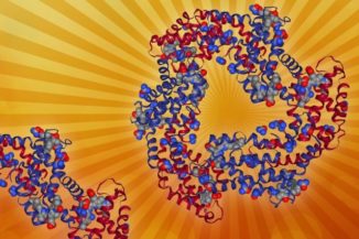 Diese photosynthetische Antenne besteht aus mehreren lichtsammelnden Pigmenten und den mit ihnen verbundenen Proteinen. (Image courtesy of the researchers (edited by MIT News))