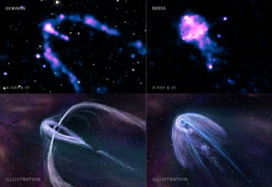 Chandra-Aufnahmen und künstlerische Illustrationen von Geminga und B0355+54. (Credit: X-ray: NASA / CXC / PSU / B. Posselt et al; Infrared: NASA / JPL-Caltech; Illustration: Nahks TrEhnl)