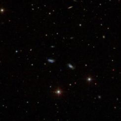 Das Bild aus dem Digital Sky Survey zeigt eine Gruppe Zwerggalaxien, die gravitativ aneinander gebunden sind. (Credit: Sloan Digital Sky Survey)