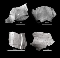 Quarzkristalle von der Eruption des Supervulkans Toba vor 73.000 Jahren zeigen ein anderes Isotopenverhältnis in ihren Randbereichen. (Image courtesy of Uppsala Universitet / CC BY-ND 3.0)