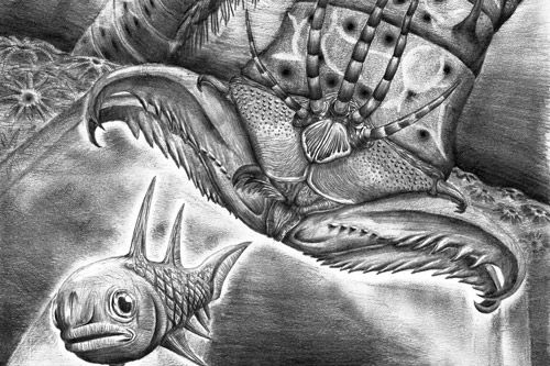 Künstlerische Darstellung von Websteroprion armstrongi beim Angriff auf einen Fisch. (Image Credit: James Ormiston)