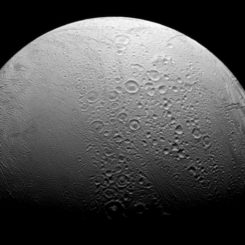 Enceladus, aufgenommen von der NASA-Raumsonde Cassini. (NASA / JPL-Caltech / Space Science Institute)