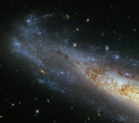 NGC 1448, aufgenommen vom Weltraumteleskop Hubble. (Credit: ESA / Hubble & NASA)