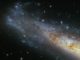 NGC 1448, aufgenommen vom Weltraumteleskop Hubble. (Credit: ESA / Hubble & NASA)