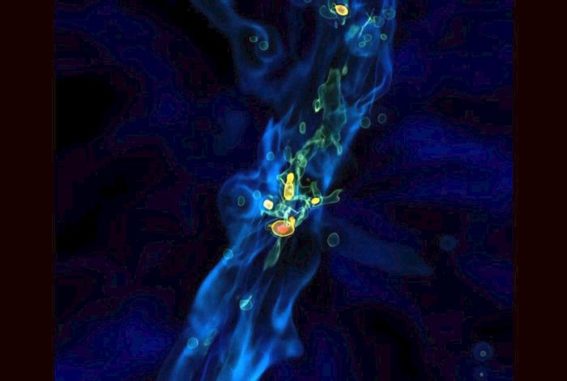 Simulation eines Quasars, der aufgrund intensiver Akkretionsströme wächst. (Credit: Los Alamos National Laboratory)