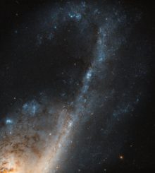 Ein Ausschnitt der Starburst-Galaxie NGC 4536 im Sternbild Jungfrau, aufgenommen vom Weltraumteleskop Hubble. (Credit: ESA / Hubble & NASA)