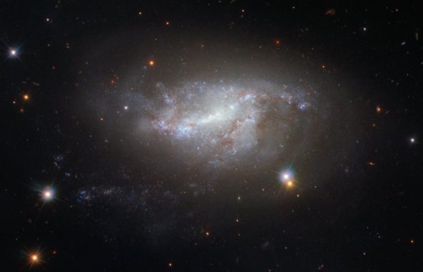NGC 5917, aufgenommen vom Weltraumteleskop Hubble. (Credit: ESA / Hubble & NASA)