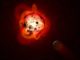 Diese Illustration zeigt einen roten Zwergstern, der von einem Exoplaneten umkreist wird. (Credits: NASA / ESA / G. Bacon (STScI))