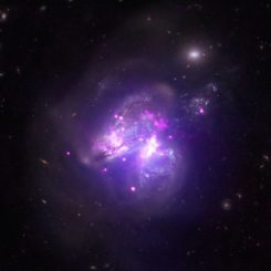 Arp 299 auf Basis von Daten der Weltraumteleskope Chandra, NuSTAR und Hubble. (Credit: X-ray: NASA / CXC / Univ of Crete / K. Anastasopoulou et al, NASA / NuSTAR / GSFC/A. Ptak et al; Optical: NASA / STScI)