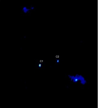 VLBA-Bild der Zentralregion der Galaxie 0402+379. Die beiden Kerne C1 und C2 sind ein Paar supermassiver Schwarzer Löcher. (Credit: Bansal et al., NRAO / AUI / NSF)
