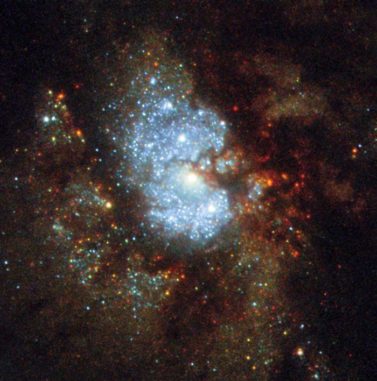 Die Zentralregion von IC 342, aufgenommen vom Weltraumteleskop Hubble. (Credit: ESA / Hubble & NASA)