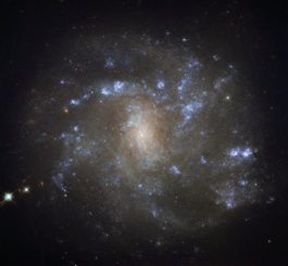 NGC 2500, aufgenommen vom Weltraumteleskop Hubble. (Credits: ESA / Hubble & NASA)