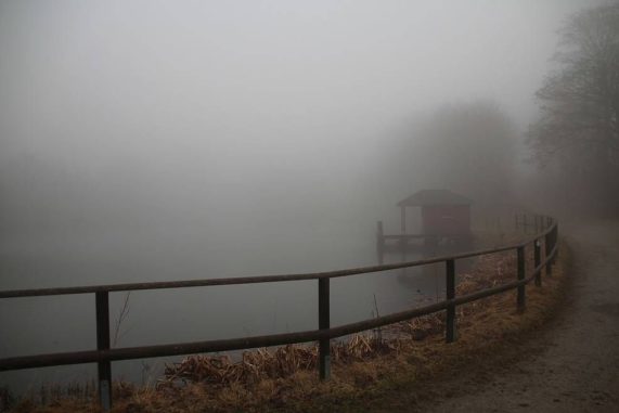 Nieselregen an Land. (Credits: Wikimedia Commons / User: GerritR / <a href='https://creativecommons.org/licenses/by-sa/4.0/'>CC BY-SA 4.0</a>) Nieselregen an Land. (Credits: Wikimedia Commons / User: GerritR / CC BY-SA 4.0)