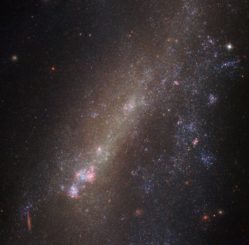 Die Galaxie IC 1727, aufgenommen vom Weltraumteleskop Hubble. (Credit: ESA / Hubble & NASA)