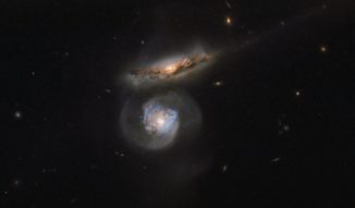 Die beiden Galaxien MCG+01-38-004 (oben) und MCG+01-38-005 (unten), aufgenommen vom Weltraumteleskop Hubble. (Credit: ESA / Hubble & NASA)