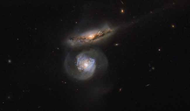 Die beiden Galaxien MCG+01-38-004 (oben) und MCG+01-38-005 (unten), aufgenommen vom Weltraumteleskop Hubble. (Credit: ESA / Hubble & NASA) Die beiden Galaxien MCG+01-38-004 (oben) und MCG+01-38-005 (unten), aufgenommen vom Weltraumteleskop Hubble. (Credit: ESA / Hubble & NASA)