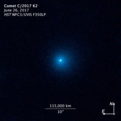 Hubble-Aufnahme des Kometen C/2017 K2 (PANSTARRS) mit seiner Staubkoma. (Credit: NASA, ESA, and D. Jewitt (UCLA))
