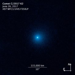 Hubble-Aufnahme des Kometen C/2017 K2 (PANSTARRS) mit seiner Staubkoma. (Credit: NASA, ESA, and D. Jewitt (UCLA))