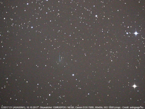 Der Komet C/2017 O1 (ASASSN1) am 16. Oktober 2017. (Credit: astropage.eu) Der Komet C/2017 O1 (ASASSN1) am 16. Oktober 2017. (Credit: astropage.eu)