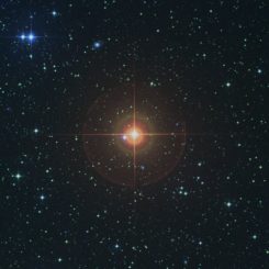 Die Umgebung des Sterns W Hydrae in sichtbaren Wellenlängen. (Credit: Digitized Sky Survey)