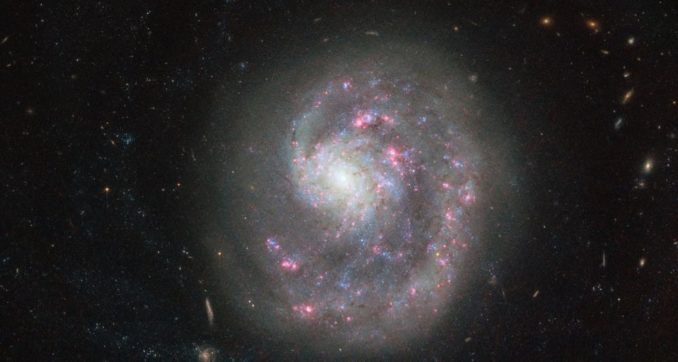 Hubble-Aufnahme der Zwerggalaxie NGC 4625. (Credits: ESA / Hubble & NASA)