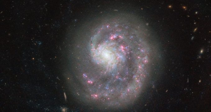 Hubble-Aufnahme der Zwerggalaxie NGC 4625. (Credits: ESA / Hubble & NASA) Hubble-Aufnahme der Zwerggalaxie NGC 4625. (Credits: ESA / Hubble & NASA)