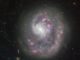 Hubble-Aufnahme der Zwerggalaxie NGC 4625. (Credits: ESA / Hubble & NASA)