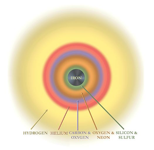 Diese schematische Darstellung zeigt den Aufbau eines massereichen Sterns vor einer Supernova-Explosion. (Credits: NASA / CXC / S. Lee)