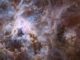Hubble-Aufnahme des Tarantelnebels. (Credits: NASA, ESA, E. Sabbi (STScI))