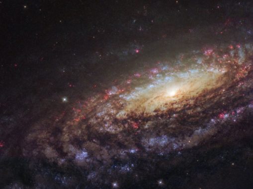 Hubble-Aufnahme der Spiralgalaxie NGC 7331. (Credits: ESA / Hubble & NASA / D. Milisavljevic (Purdue University))