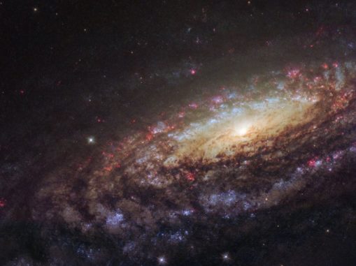 Hubble-Aufnahme der Spiralgalaxie NGC 7331. (Credits: ESA / Hubble & NASA / D. Milisavljevic (Purdue University)) Hubble-Aufnahme der Spiralgalaxie NGC 7331. (Credits: ESA / Hubble & NASA / D. Milisavljevic (Purdue University))